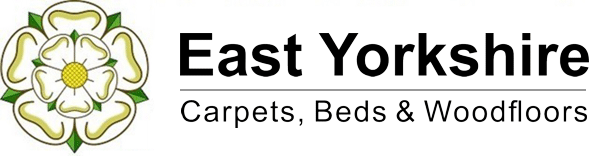 ey_long_logo